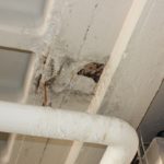 Leaks in classroom ceilings